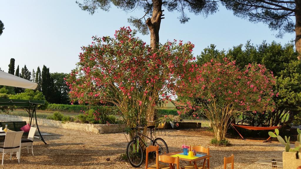 Agriturismo Occhineri Порто-Чезарео Экстерьер фото