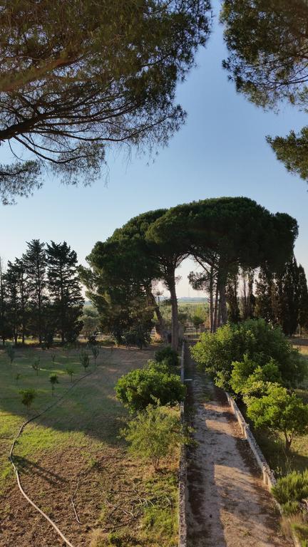 Agriturismo Occhineri Порто-Чезарео Экстерьер фото