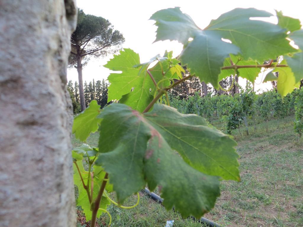 Agriturismo Occhineri Порто-Чезарео Экстерьер фото